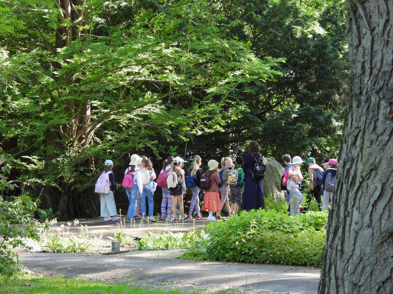 Wycieczka botaniczna dla dzieci